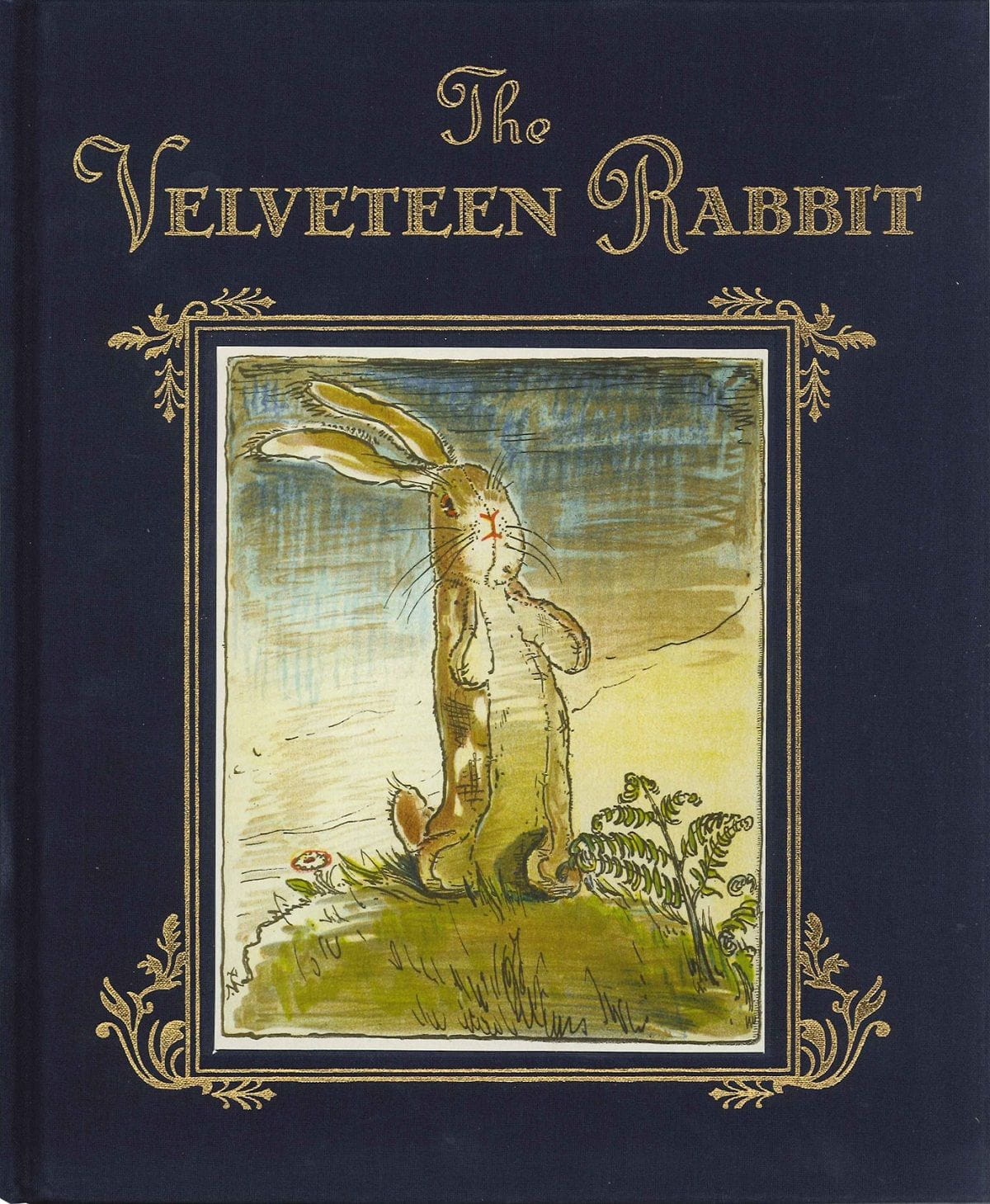 Velveteen Rabbit cover