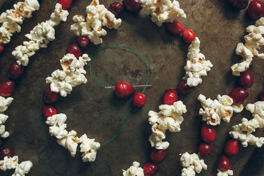 cranberries and popcorn on a string