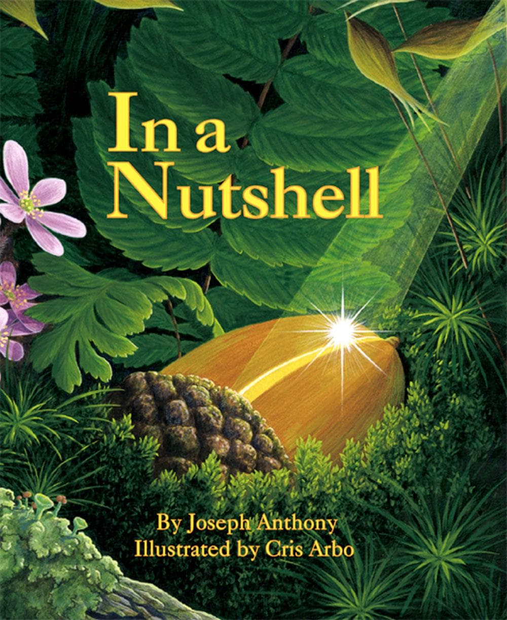 In a Nutshell cover