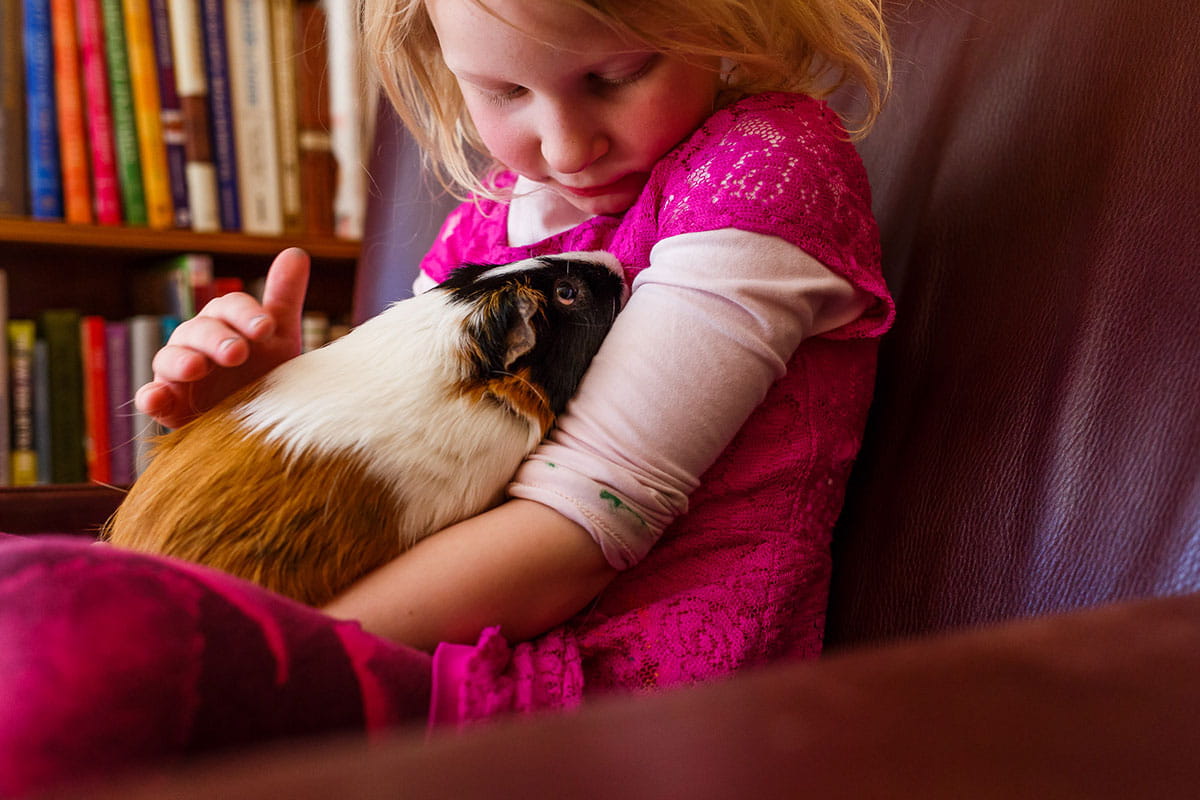 Girl holding guinea pig