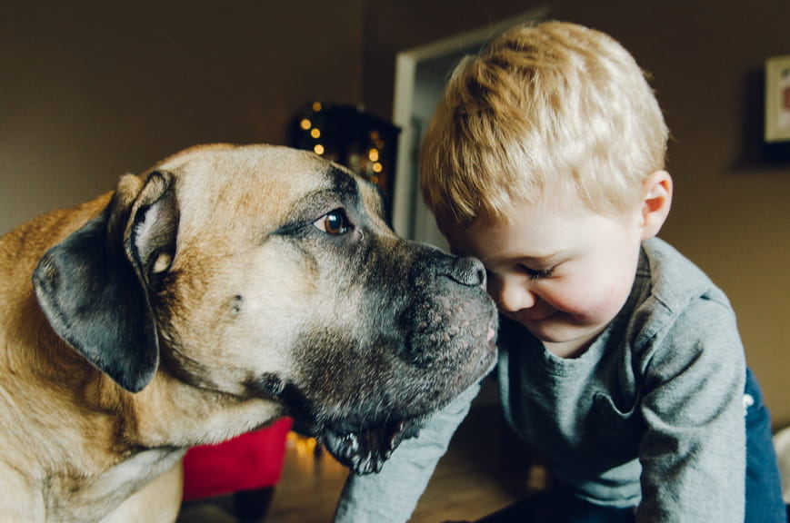 Good Dog, Good Kid: Teaching Your Child Pet Safety