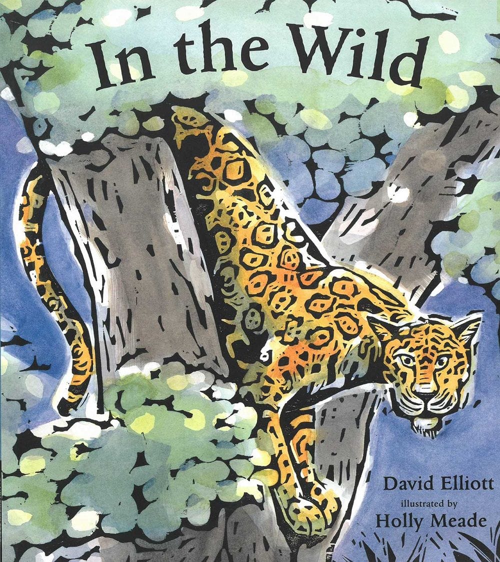 In the Wild cover