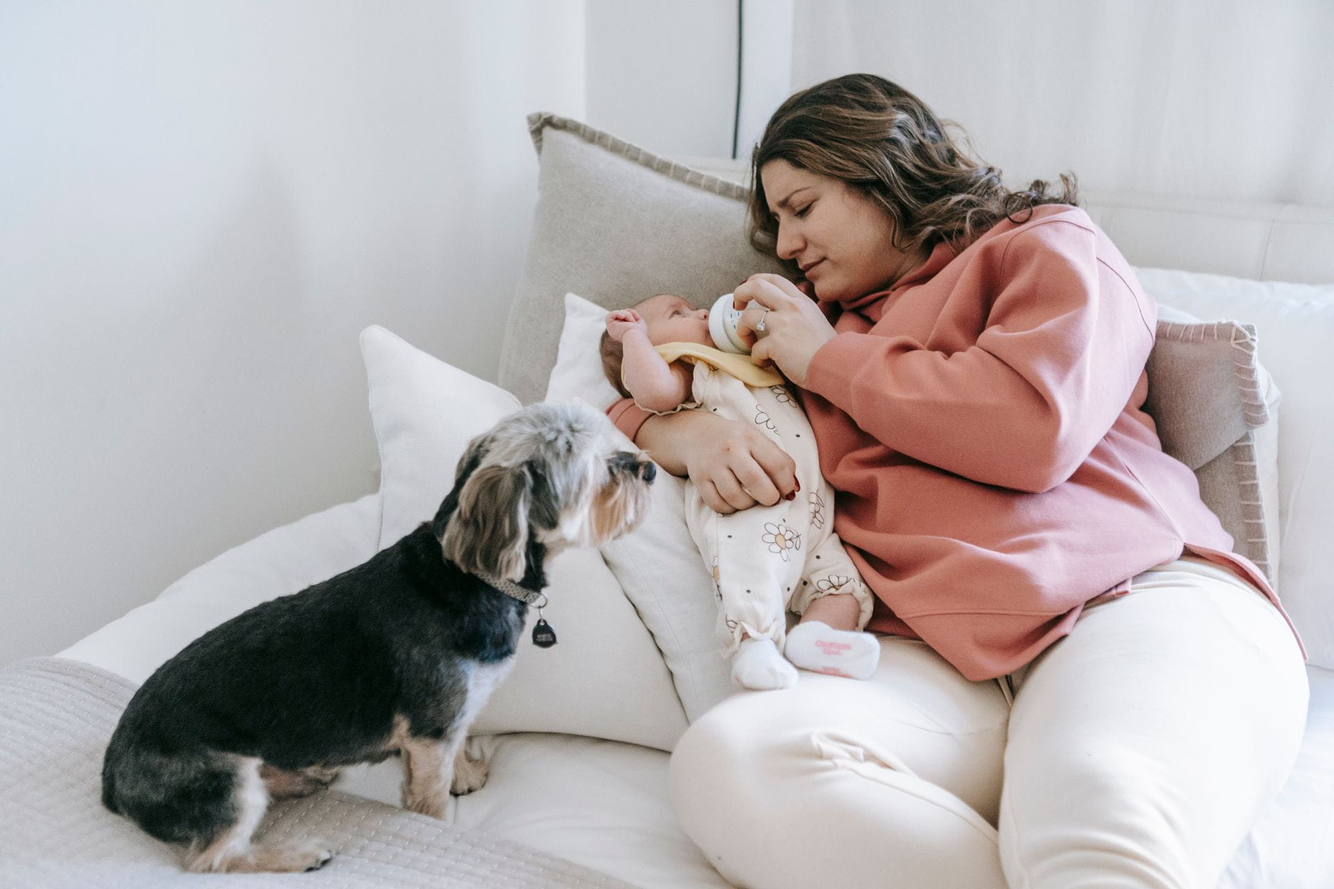 A mother feeds her newborn baby while a small dog watches attentively on the bed