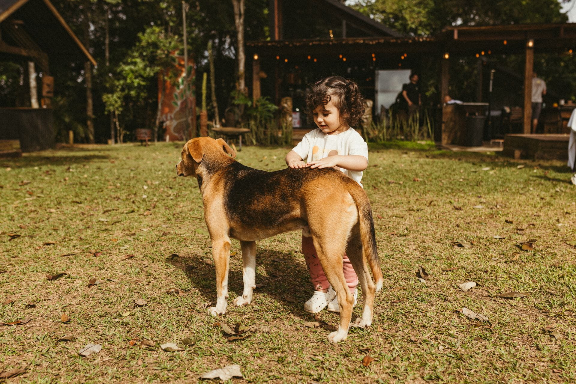 young girl gently petting a dog in a sunlit backyard setting