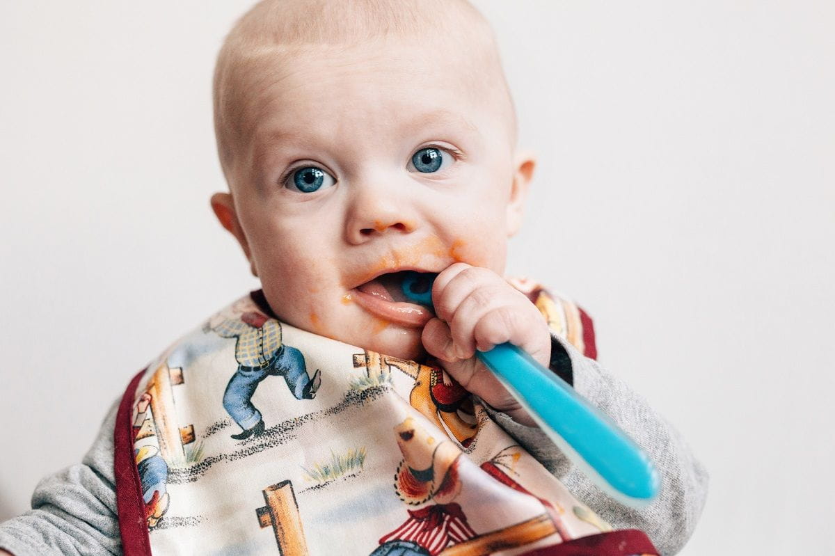 The OXO Tot Suction Bowl & Plate Keep Dinner With Toddlers Mess-Free