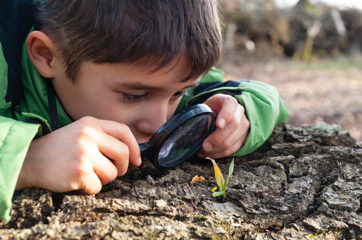 How do magnifying glasses work?