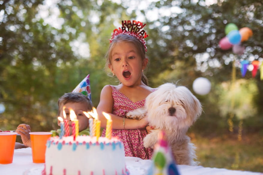 10 Budget Birthday Party Ideas to Wow Your Toddler's Mind