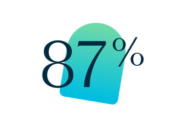 87 percent icon