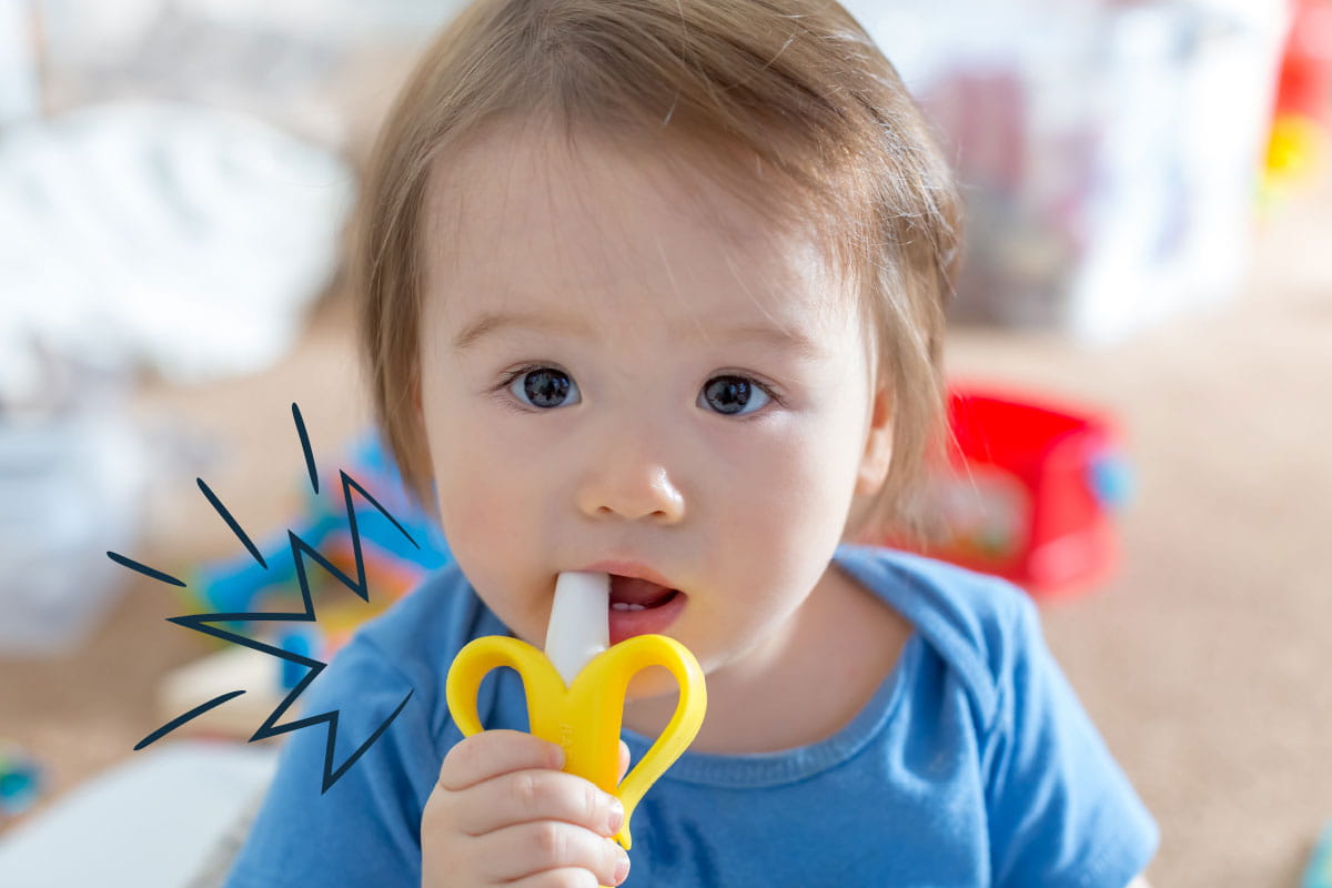 How to Curb Biting Behaviors